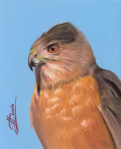Vultur, 2004, ulei pe carton, 88x105 mm