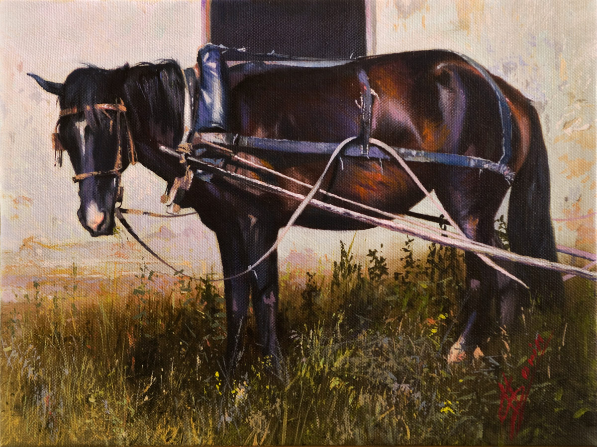 Studiu cu cal, 2017, ulei pe pânză, 220x304 mm