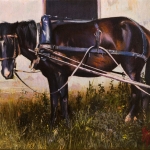 Studiu cu cal, 2017, ulei pe pânză, 220x304 mm
